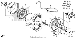 Rear Brake Panel Schematic