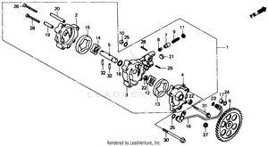 Oil Pump Schematic