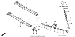 Camshaft + Valve Schematic
