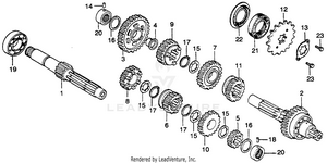 Transmission Schematic