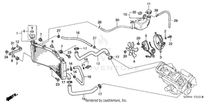 Radiator ('01-'06) Schematic