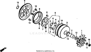 Drive Face Schematic
