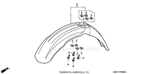 Front Fender Schematic