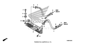 Oil Cooler Schematic