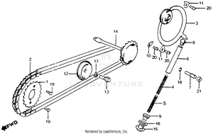 Cam Chain + Tensioner Schematic