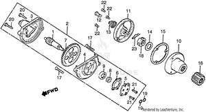Oil Pump + Oil Filter Schematic