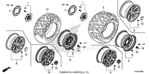 Wheel Schematic