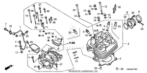 Cylinder Head Schematic