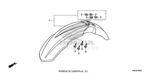 Front Fender Schematic