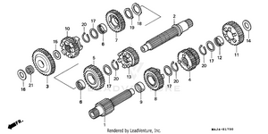 Transmission Schematic