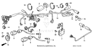 Wire Harness Schematic