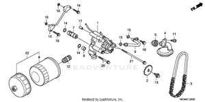 Oil Filter + Oil Pump Schematic