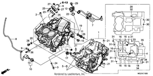 Crankcase Schematic