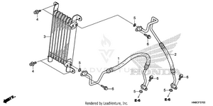 Oil Cooler Schematic