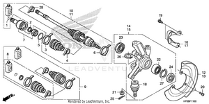 Knuckle Schematic