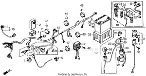 Wire Harness Schematic