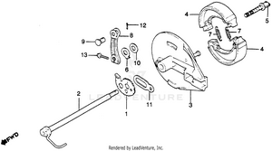 Rear Brake Panel Schematic