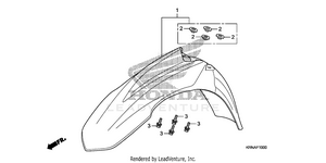 Front Fender Schematic