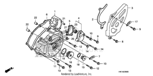 Left Crankcase Cover Schematic