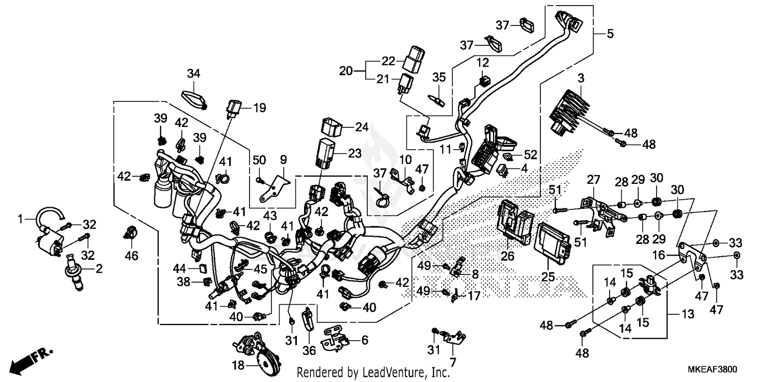 WIRE HARNESS
