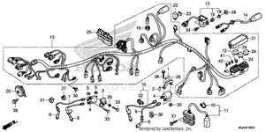 Wire Harness (3) Schematic