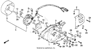 Left Crankcase Cover + Generator Schematic