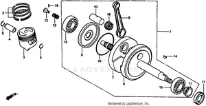 Crankshaft Schematic