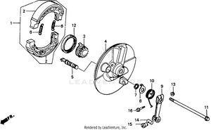 Front Brake Panel Schematic