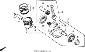 Crankshaft + Piston Schematic
