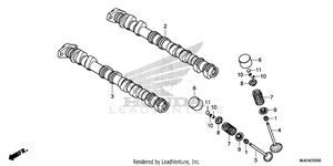 Camshaft@valve Schematic