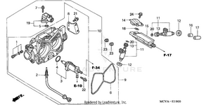 Throttle Body Schematic