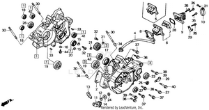 Crankcase 87-89 Schematic