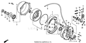 Rear Brake Panel Schematic