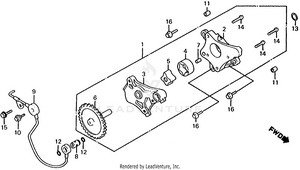 Oil Pump Schematic