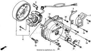 Left Crankcase Cover Schematic