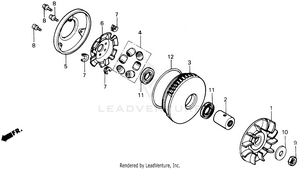 Drive Face Schematic