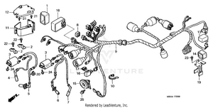 Wire Harness (1) Schematic