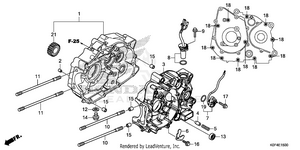 Crankcase Schematic