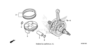 Crankshaft + Piston Schematic