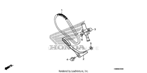 Cam Chain + Tensioner Schematic