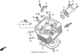 Cylinder Head Schematic