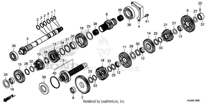 Transmission Schematic