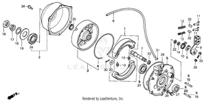 Rear Brake Panel Schematic