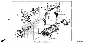 Throttle Body Schematic