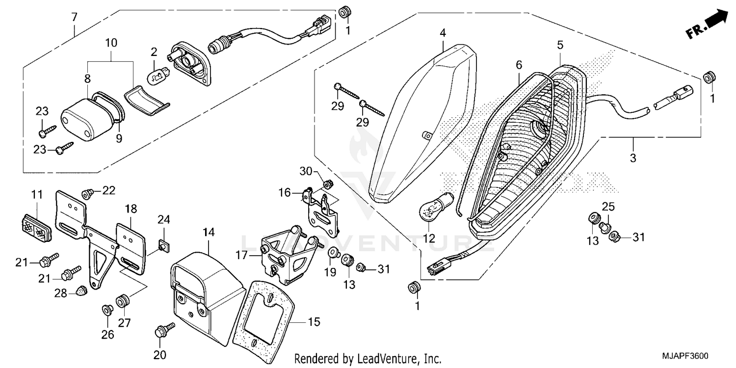 TAILLIGHT (1)