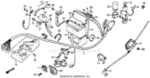 Wire Harness + Horn Schematic