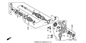 Knuckle Schematic