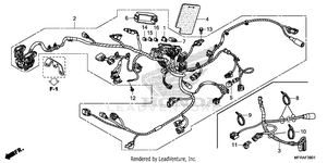 Wire Harness (2) Schematic
