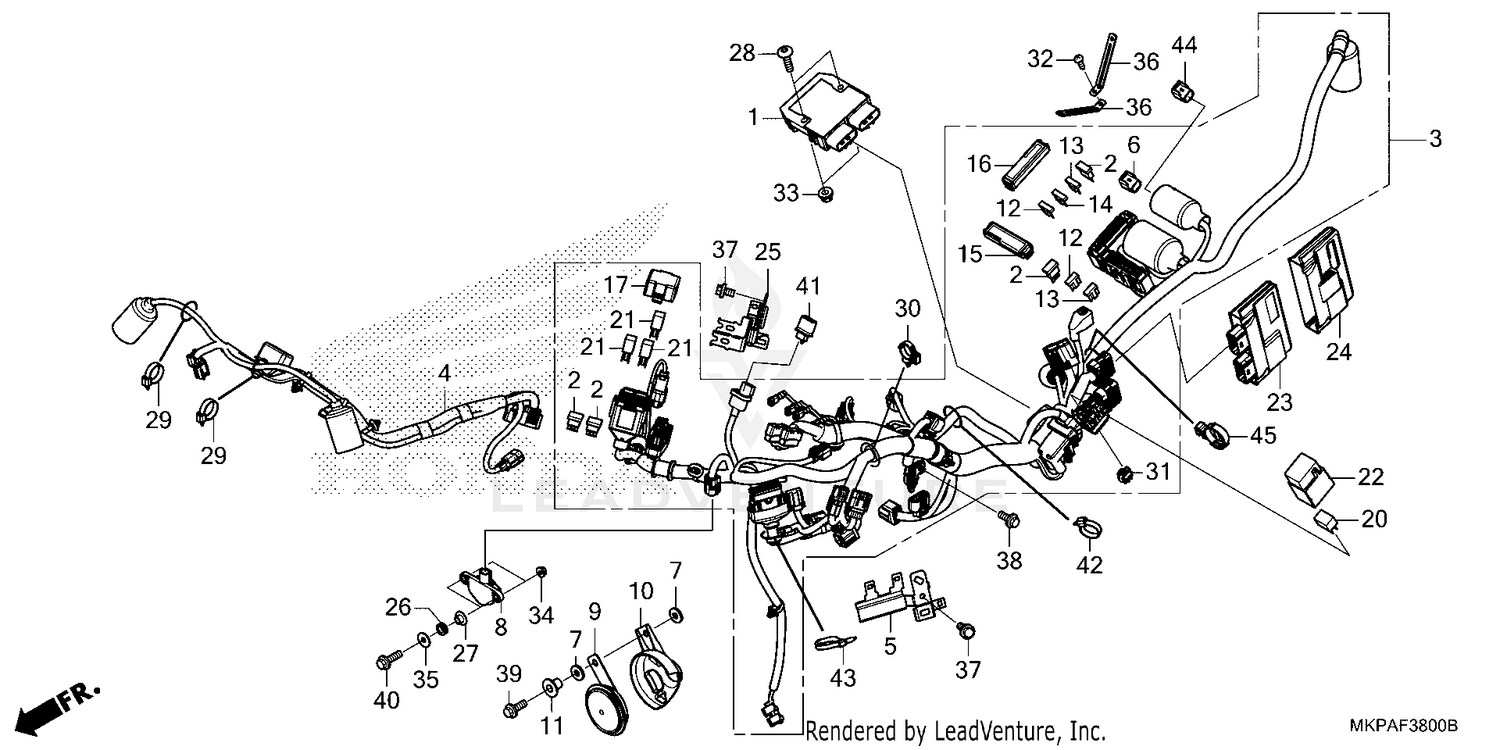 WIRE HARNESS