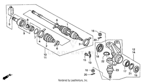 Knuckle Schematic